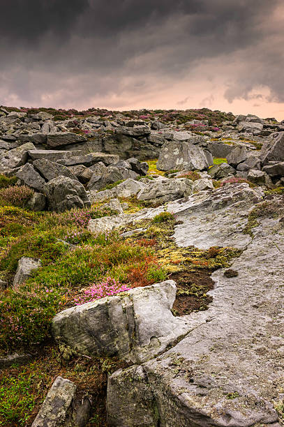 North York Moors National Park at dawn showing rocks from the Jurassic and the rugged landscape near Goathland, north Yorkshire, UK. This shot was taken in summer; a storm is brewing.