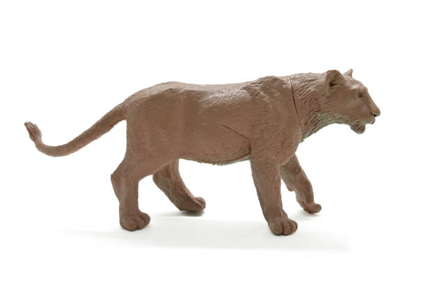 istock brown lioness figure stand on white background 1794169080