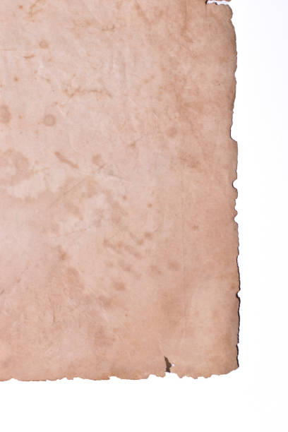 istock old vintage brown paper on white background, page for texture design 1794170126