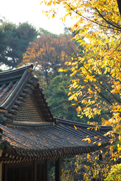 istock Autumn in Seoul 1794208581