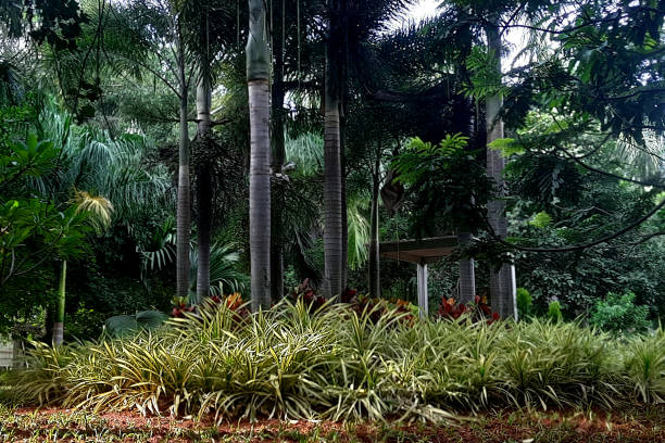 istock Landscape with Trees and Plants 1794208814
