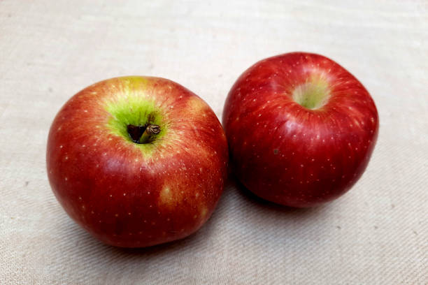 istock Twin, Reddish, Apple Fruits 1794208817