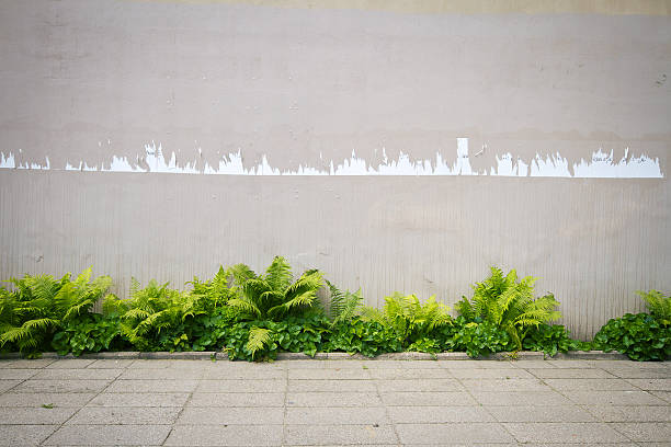 A street wall's paint chipping off