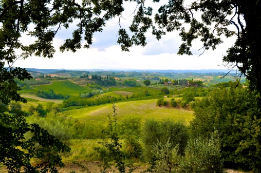 Green Field of Tuscany,Italy