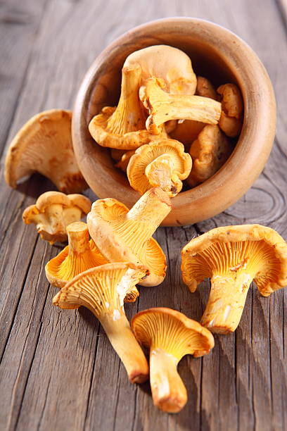 Mushrooms chanterelles lying on a table cantharellus tubaeformis stock pictures, royalty-free photos & images