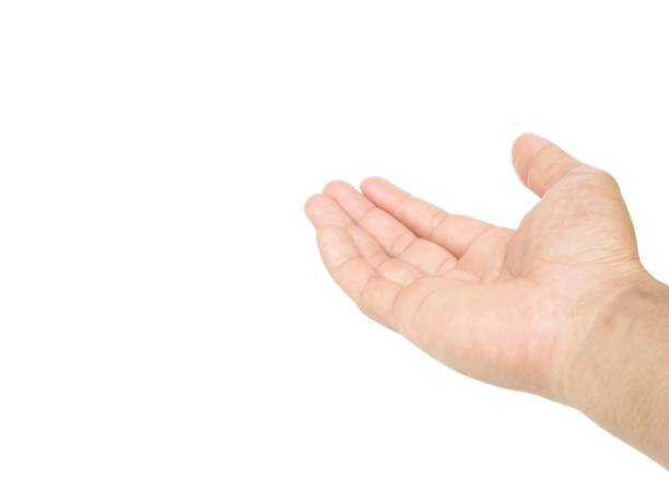 istock Male hands open and stretched forward on white background business concept. 1794288733
