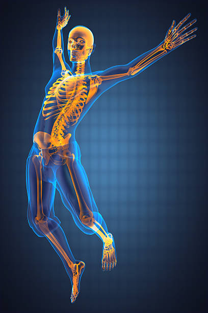istock A radiography image depicting a jumping man 179429222