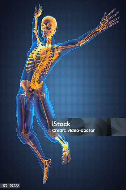 Прыжки Человек Radiography — стоковые фотографии и другие картинки Анатомия - Анатомия, Артрит, Биология