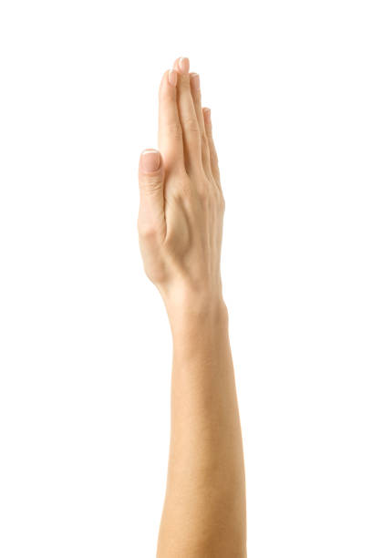 istock Raised hand voting or reaching. Woman hand gesturing isolated on white 1794305063