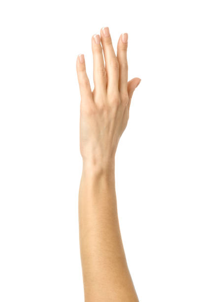 istock Raised hand voting or reaching. Woman hand gesturing isolated on white 1794305067