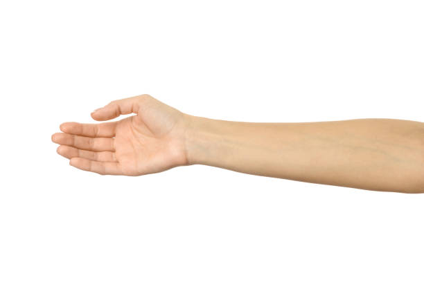 istock Outstretched female hand. Woman hand gesturing isolated on white 1794305587