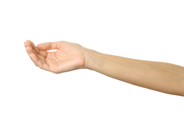 istock Outstretched female hand. Woman hand gesturing isolated on white 1794305610