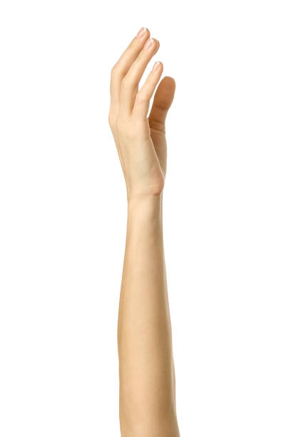 istock Raised hand voting or reaching. Woman hand gesturing isolated on white 1794305614