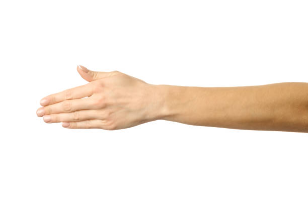istock Giving hand for handshake. Woman hand gesturing isolated on white 1794305618