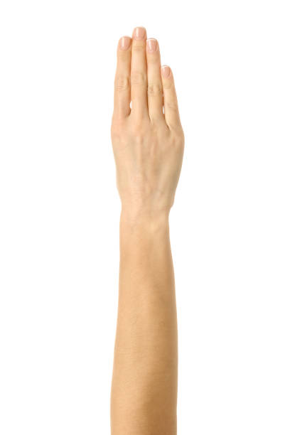 istock Four fingers folded together. Woman hand gesturing isolated on white 1794306157