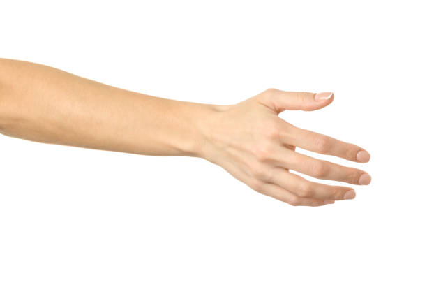 Giving hand for handshake. Woman hand gesturing isolated on white