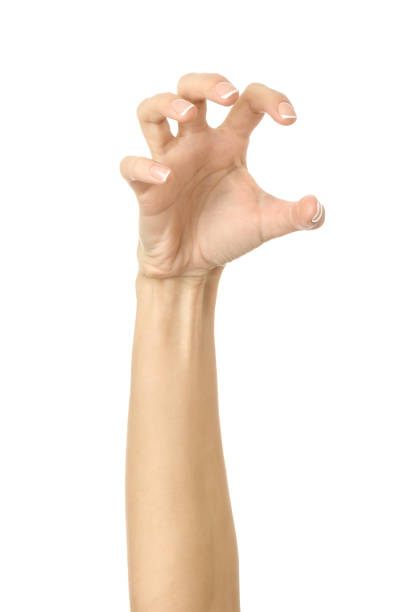 istock Pulling, grabbing, reaching or scratching. Woman hand gesturing isolated on white 1794306195
