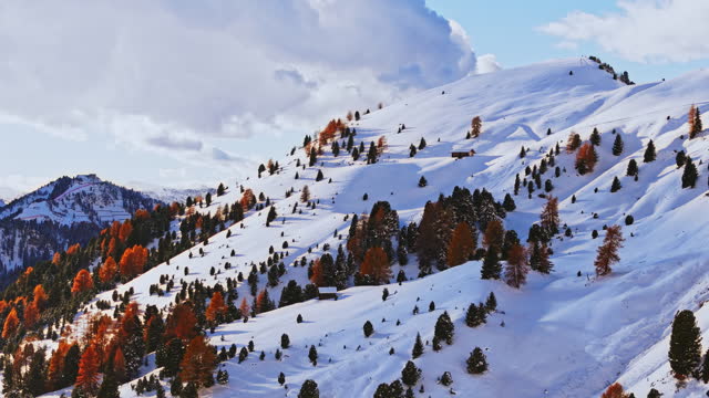 AERIAL Drone Shot of Autumn Trees on Snow Covered Mountain in Dolomites Under Cloudy Sky