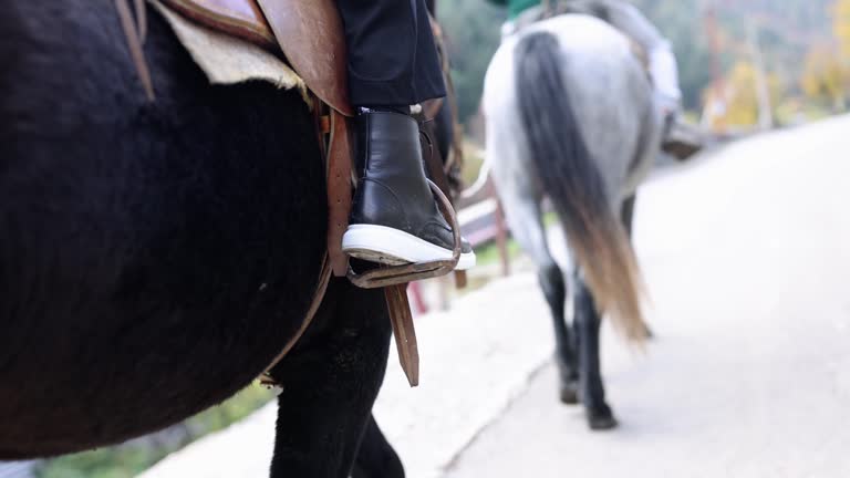 Leg of rider equestrian riding horse closeup