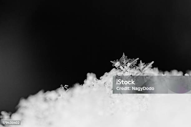 Schönheit Weißen Schneeflockenkristallen Stockfoto und mehr Bilder von Abstrakt - Abstrakt, Angeschlagen, Eingefroren