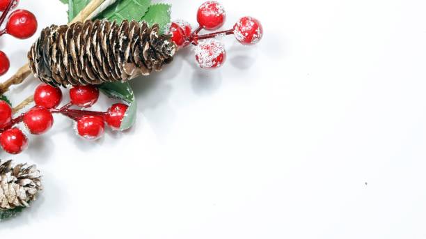 istock Christmas branch on white background 1794376868