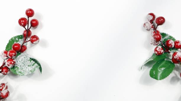 istock Christmas branch on white background 1794376874