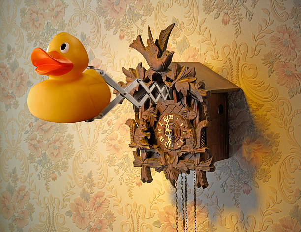 Duck and Cuckoo Clock stock photo
