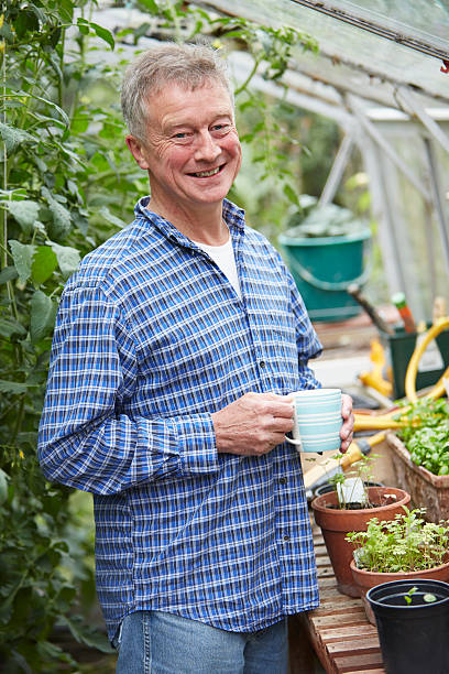 istock Senior Man In Greenhouse With Hot Drink 179438116