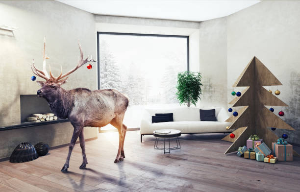istock interior with plywood Christmas tree and the deer 1794390913