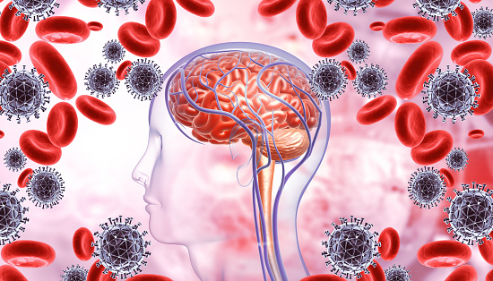 Human brain on virus background. 3d illustration