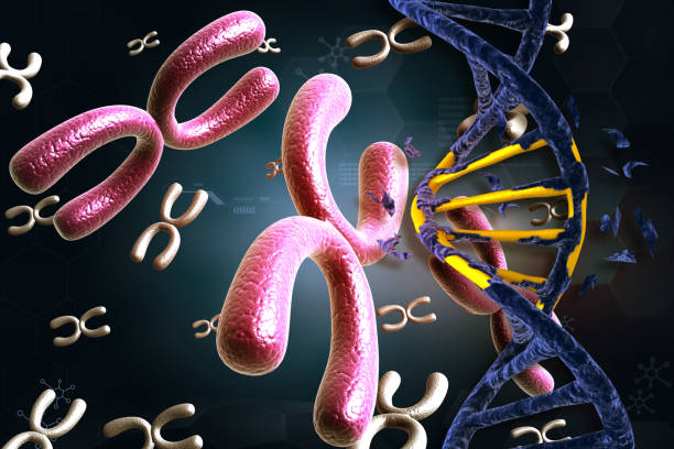 istock DNA strand with Chromosomes 1794394289