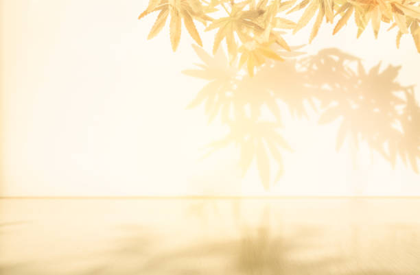 istock Wall interior autumn background, studio, and backdrops show products. with shadow leaf color beige background for text insertion and presentation of product 1794395439