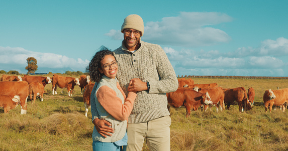 Couple, herd of cattle and farming in grass field, land and agriculture in cow farm, agro and rural. Sustainability, ranch and texas for animals, nature and outdoor in village, eco friendly or meadow