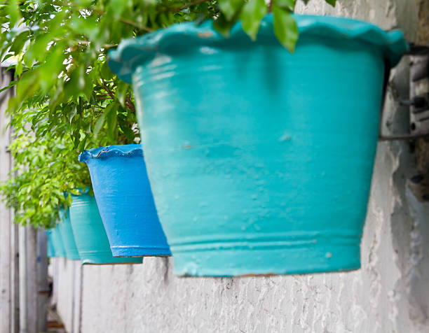 istock row of potted shrub 179439780