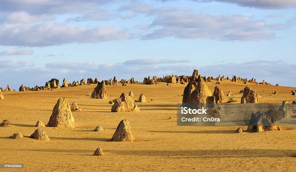 The Pinnacles Desert dans le Parc National de Nambung, Australie occidentale - Photo de Aiguille rocheuse libre de droits