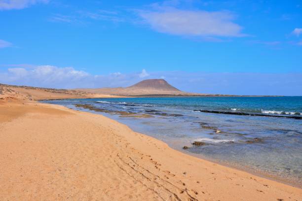 istock Landscape in Tropical Volcanic Canary Islands Spain 1794405711