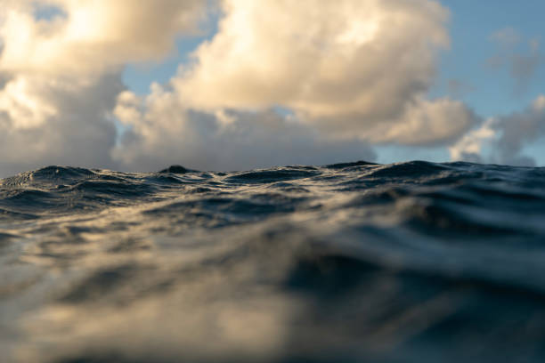istock Sunrise in paradise 1794436685