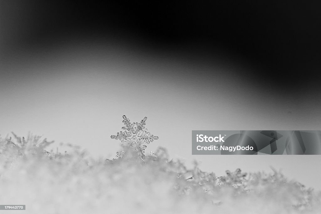 Bellezza con fiocchi di neve bianche cristalli - Foto stock royalty-free di Astratto
