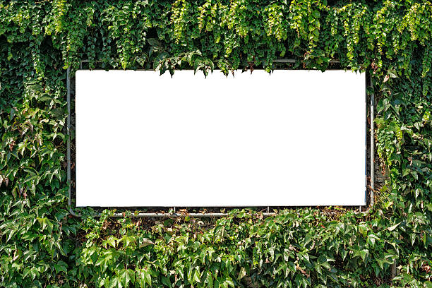 clipping path included, blank white billboard surrounded from green ivy