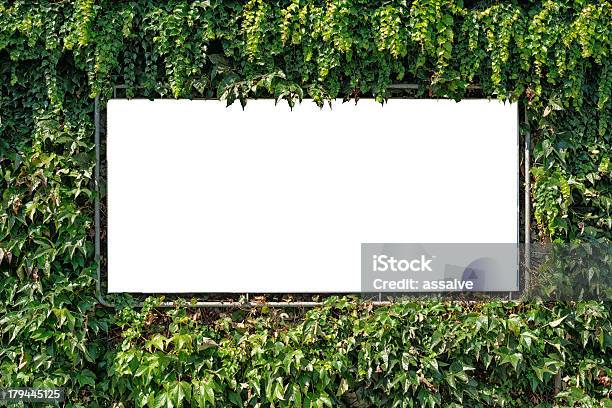 Пустой Белый Billboard В Окружении С Зеленый Плющ — стоковые фотографии и другие картинки Плющ - Плющ, Рекламный щит, Афиша