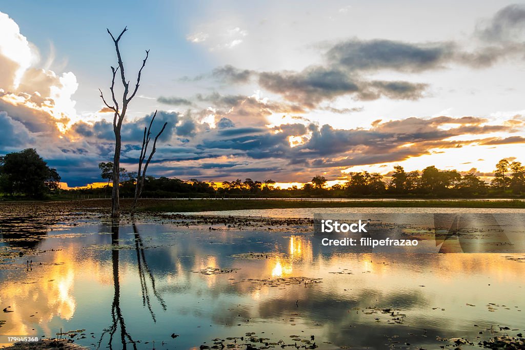 Colorido pôr do sol em Pantanal, Brasil - Foto de stock de Lezíria royalty-free