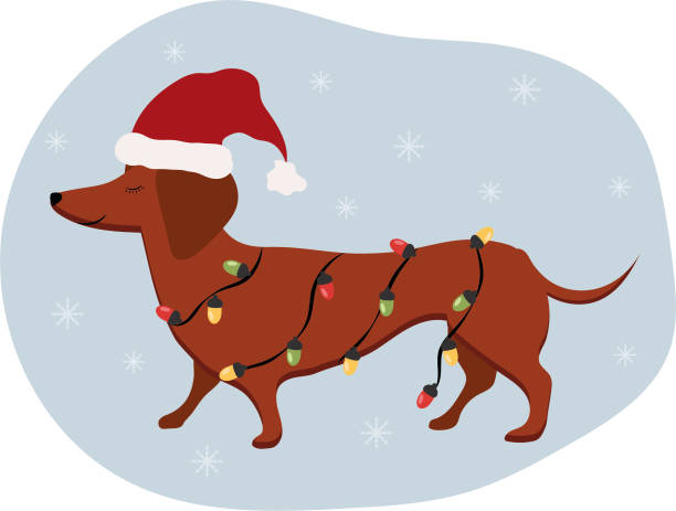 Dachshund & Reindeer Santa Hat Dachshund & Reindeer Santa Hat