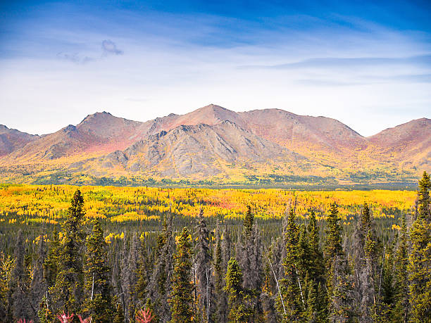 istock alaska mountain in autumn 179448491