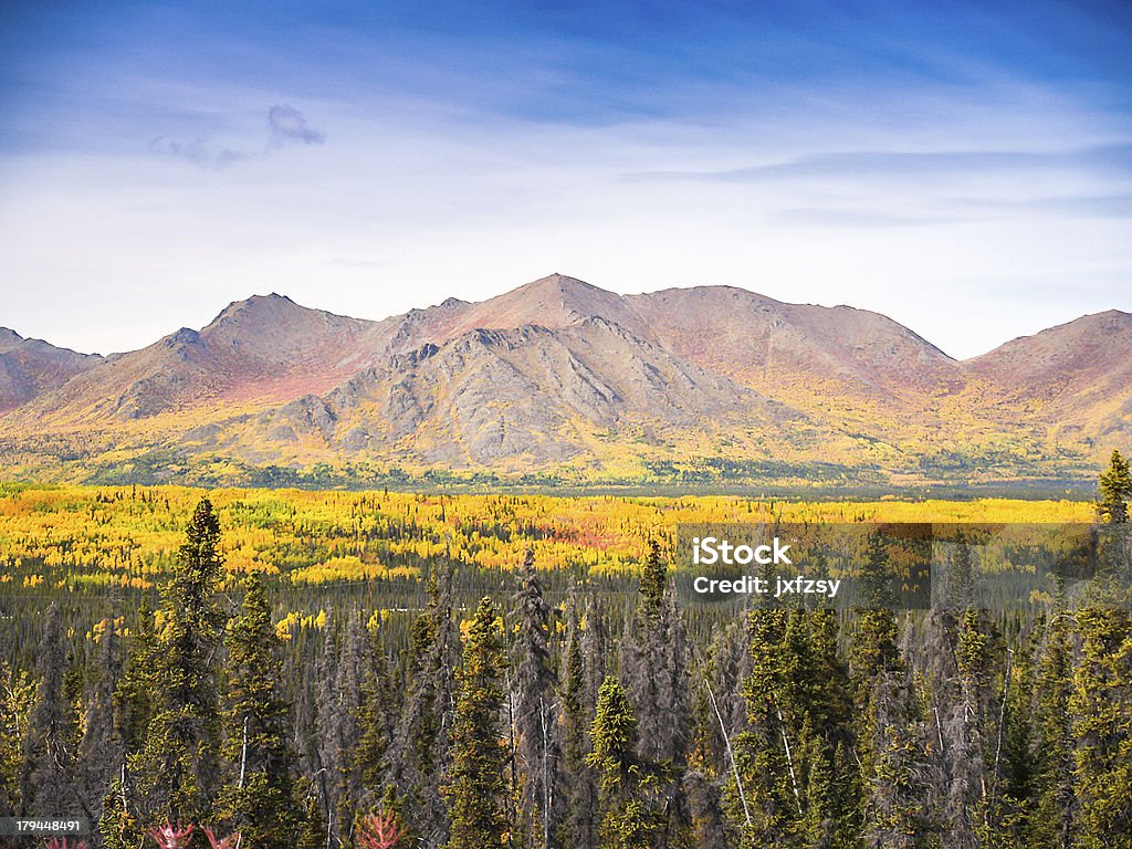 Alasca montanha no outono - Foto de stock de Alasca - Estado dos EUA royalty-free