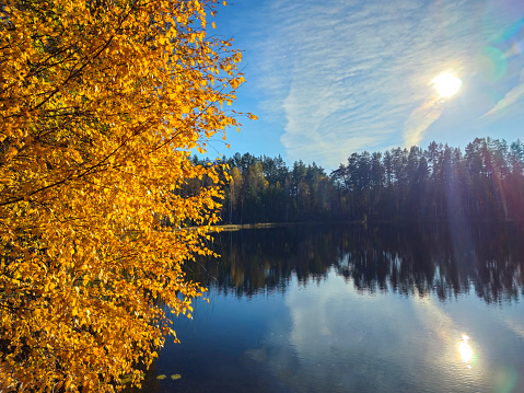 Image of Autumn Lake Nord Europe, Lithuania