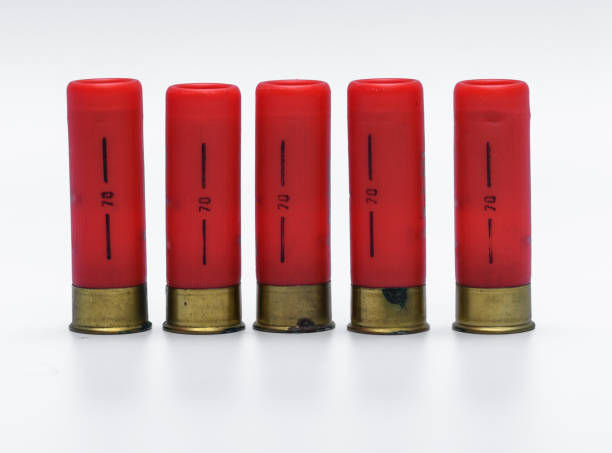 istock Hunting ammunition for large game 1794496017