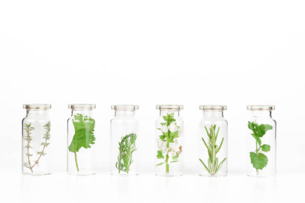 istock aromatic plants in a glass jar 1794497233