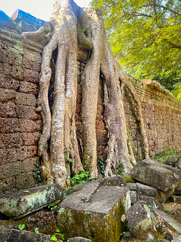 Preah Khan, Preah Khan Kampong Svay archaeological site, Angkor, Cambodia.