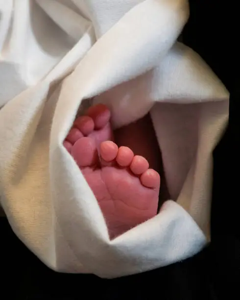 Photo of Tiny, newborn baby feet and toes wrapped in a white blanket