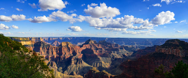 istock Grand Canyon North Rim 1794538618